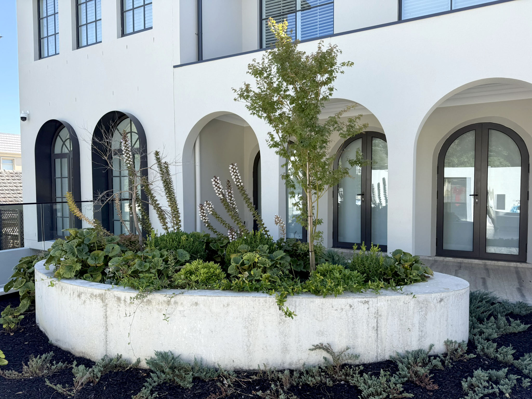 Heritage-style rendered planter with structured planting
